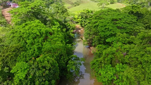Aerial view of a river in a Dominican Republic natural park, drone view. Tropical jungle and mangrove forests. Tropical forest with a flowing river. Summer landscape of Latin American wildlife.