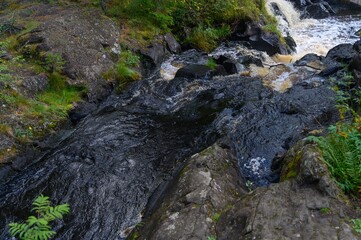 moss on rocks © yogesh