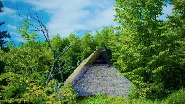 青々とした竹林と緑に囲まれた茅葺き屋根の日本の古民家 4Kシネマティック映像素材