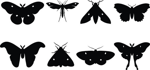 Moth silhouette collection featuring various moth and butterfly vector shapes with spread wings © Designer Arif