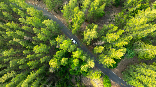 Aerial view of dark green forest road and white electric car Natural landscape and elevated roads Adventure travel and transportation and environmental protection concept
