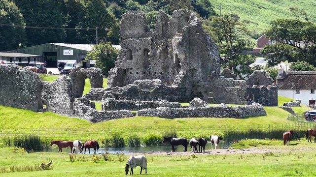 Cinematic drone footage of historic Ogmore Castle in Wales, surrounded by green countryside and horses grazing peacefully near the medieval ruins.