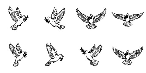 Fototapeta premium Doves Flying in Various Poses in Black and White Vector Illustration Featuring Dove, Bird, Wing with Feather and Sky Elements