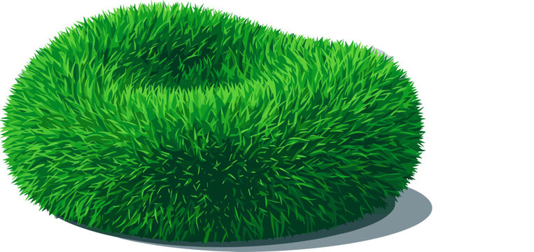 Vector Illustration of a Rounded Green Grass Bush Topiary Shrub and Fluffy Lawn Tuft for Garden Landscaping Graphic Designs and Architectural Rendering Layouts