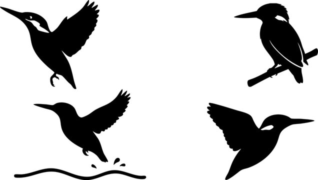 Kingfisher bird silhouettes, elegant black vector illustrations, set of four kingfisher designs, wildlife and nature themed graphic resources for branding and decor