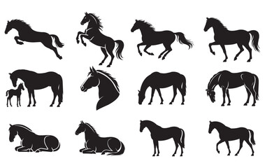 Fototapeta premium Horse Silhouettes Vector Graphic Collection