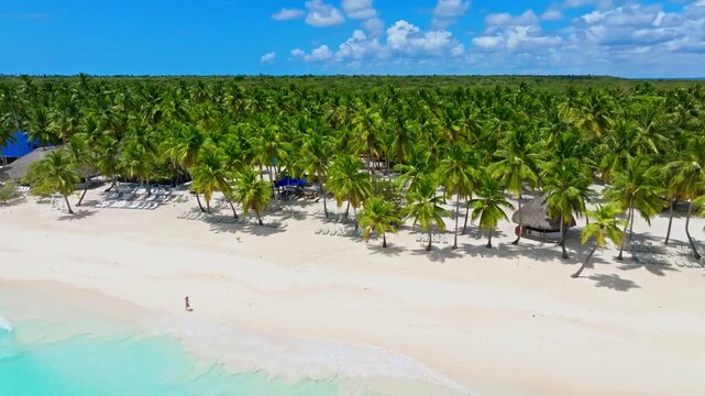 View of a tropical resort beach on the Caribbean coast. Turquoise ocean waters. Beautiful Dominican tropical beach with palm trees. Umbrellas and lounge chairs for relaxing by the sea on a sunny day.