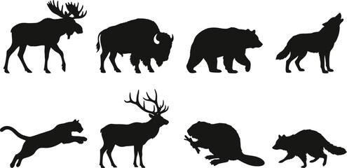 North American Wildlife Animal Silhouette Set Featuring Moose Bison Bear Wolf Deer Beaver Fox and Cougar © Hasibur