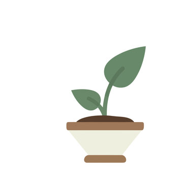 Potted Plant with Green Leaves