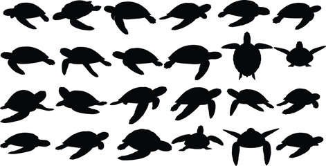 Sea turtle silhouette illustration set, marine wildlife artwork, swimming animal vector drawing, ocean nature design concept © Fenshi