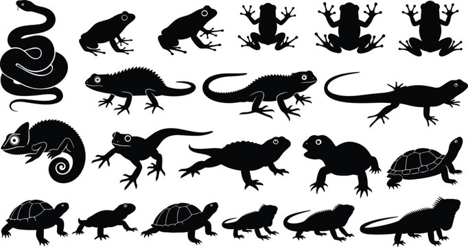 Reptile amphibian silhouette illustration set, snake frog lizard chameleon turtle artwork, wildlife vector drawing concept