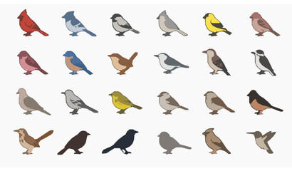 Flat Vector Illustration Set of Common Feeder Birds of the Southeastern United States Isolated on White Background © Shoriful