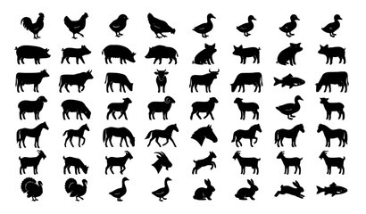 Obraz premium Illustrate a luxury vector pack of 56 farm animal silhouette symbols displayed in an organized layout on a solid white background. Include hens, roosters, chicks, ducks, pig families, sheep, lambs, co