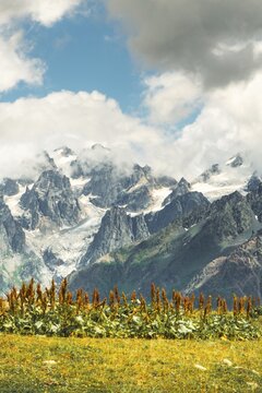 Towering jagged peaks rocky glacier mountain range fluffy clouds blue sky green alpine meadow foreground. Panorama from Koruldi Lakes Mestia Svaneti Georgia Caucasus summer landscape