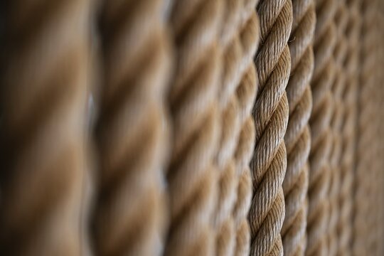 Close-up of several twisted thick ropes hanging close together, Strandingsmuseum St. George, North Sea coast, Thorsminde, Denmark