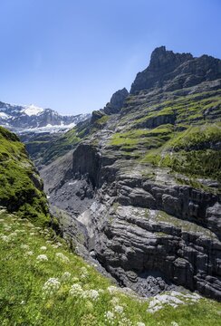Rocky gorge with waterfall, mountain landscape with Grindelwald-Fiescherfirn glacier, Bernese Alps, Bernese Oberland, Switzerland