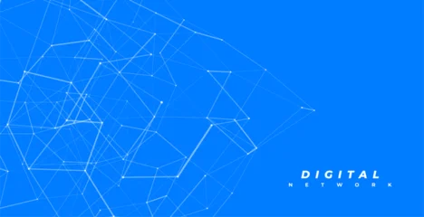 digital network web connectivity blue background with white plexus lines © starlineart