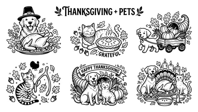 Thanksgiving pets celebration with festive accessories. Cute animals wearing holiday hats and bandanas for seasonal greeting cards.