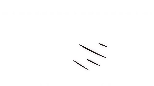 animation of monster claw scratch marks on black background, scary animal paw slash