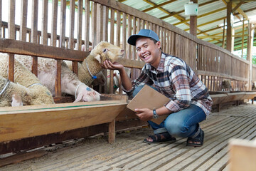 Asian Farmer Inspecting Sheep and Making Check List with clipboard in Barn © Yazid Nasuha