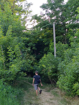 Person Walking Along Narrow Forest Path Surrounded by Green Trees