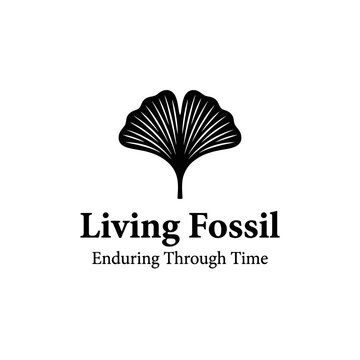 Elegant ginkgo biloba leaf icon for wellness, longevity, and natural health branding.