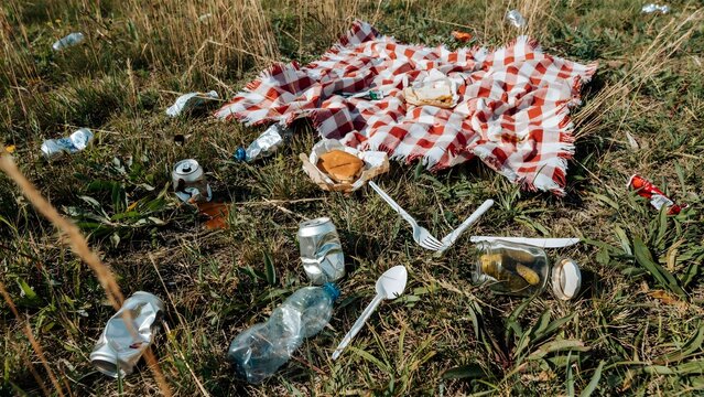 Littered grassy field with scattered cans bottles and trash after picnic or outdoor gathering