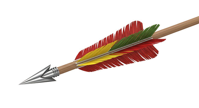Colorful feathered arrow pointing right