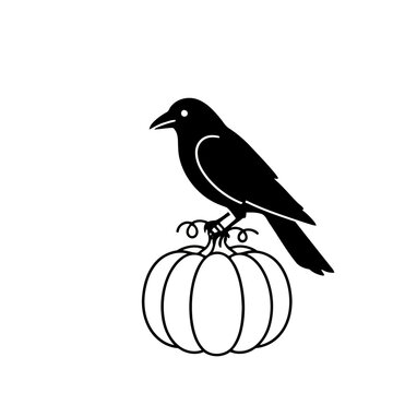 Black bird on pumpkin silhouette