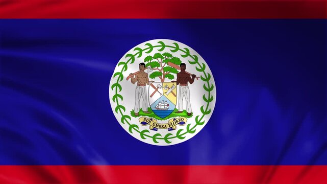 belize flag waving in the win full screen 3d animation loop seamless animation. good for background waiting screen