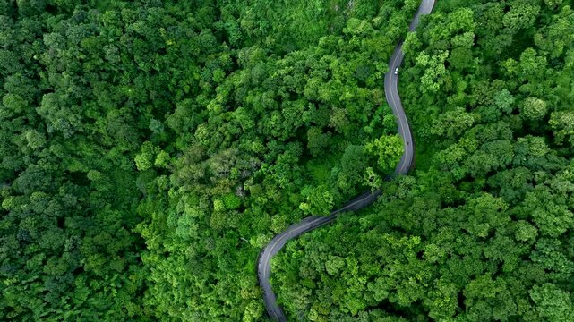 Aerial forest road with car creating abstract background for electric vehicle, ESG, sustainability and green investment business concepts.