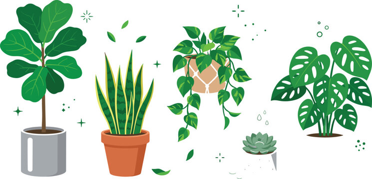 Houseplant Collection with Fiddle Leaf Fig, Snake Plant, Pothos, Monstera and Succulent Indoor Potted Plants Vector Illustration