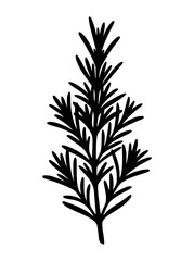 Fototapeta premium Black Rosemary Sprig Silhouette Isolated on White Background