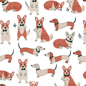 Seamless pattern with hand-drawn cartoon corgi and dachshund dogs on a white background