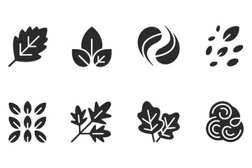 Fototapeta premium Set of nature leaf icons Collection of organic plant symbols and botanical vector graphics.