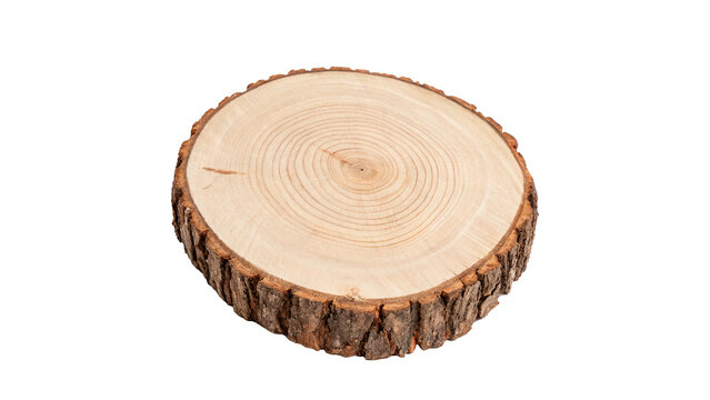 Round cross section texture of clean polished wood log isolated on transparent background cut out