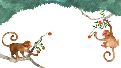 森でリンゴを採る2匹の猿の手描き和風水彩イラストフレーム（枠・ボーダー素材）
Two monkeys picking apples in the forest, hand-drawn Japanese watercolor illustration frame (border)