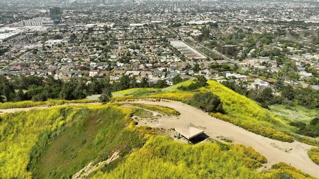 Los Angeles and Hollywood from Kenneth Hahn Park California Super Bloom Aerial Shot Forward Tilt Up