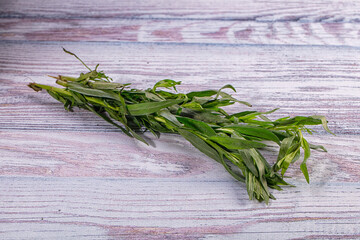 Fresh green tarragon herb on rustic painted wood background © Andrei Starostin