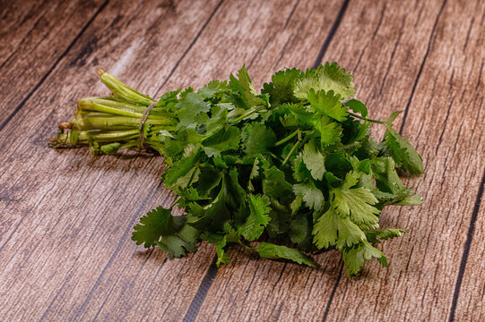 Fresh cilantro bunch on rustic wooden surface
