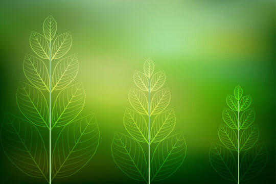 Three vibrant green plants in soft light background