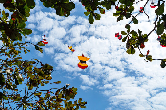 Traditional Balinese kites flying in the blue cloudy sky framed by green tree leaves during a festival in Sanur beach, Bali, Indonesia 