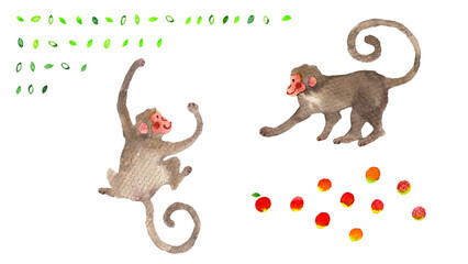 2匹の猿とリンゴの和風手描き水彩イラストパーツセット（果物・動物素材） Two cute monkeys and apples, Japanese hand-drawn watercolor illustration part set © lily