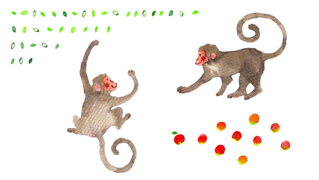 2匹の猿とリンゴの和風手描き水彩イラストパーツセット（果物・動物素材）
Two cute monkeys and apples, Japanese hand-drawn watercolor illustration part set