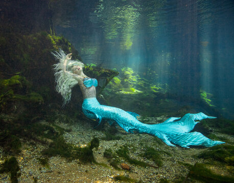 Side view of a beautiful mid adult woman with a mermaid tail swimming along the ocean floor