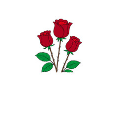 Naklejka premium Single Red Rose Flower Isolated on White Background with Green Stem Romantic Floral Blossom Symbol of Love Nature Beauty and Valentine's Gift