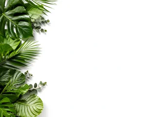Green Tropical Leaf Border on White Background with Copy Space © paisan191