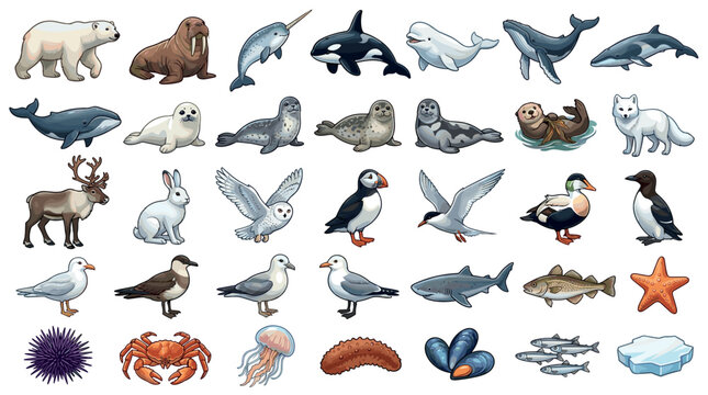 Arctic and marine animals and sea creatures in a vibrant cartoon illustration style, showcasing diverse wildlife from polar regions and oceans.