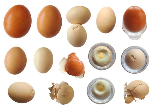 Fresh farm chicken eggs of various sizes and shades, hard-boiled eggs, cracked, broken shells, and eggshell pieces set with natural lighting and soft shadows, isolated on transparent background