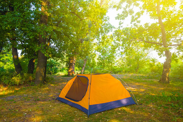 orange touristic tent stay on forest glade in light of sun, summer outdoor camping scene © Yuriy Kulik